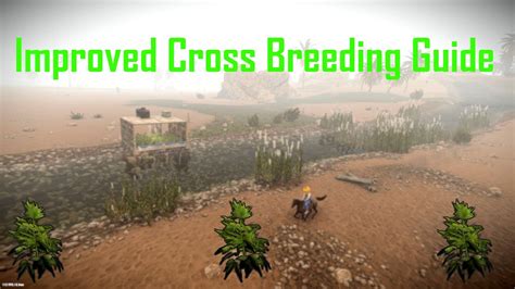 Rust | Ultimate Cross Breeding Guide (new/updated) - YouTube