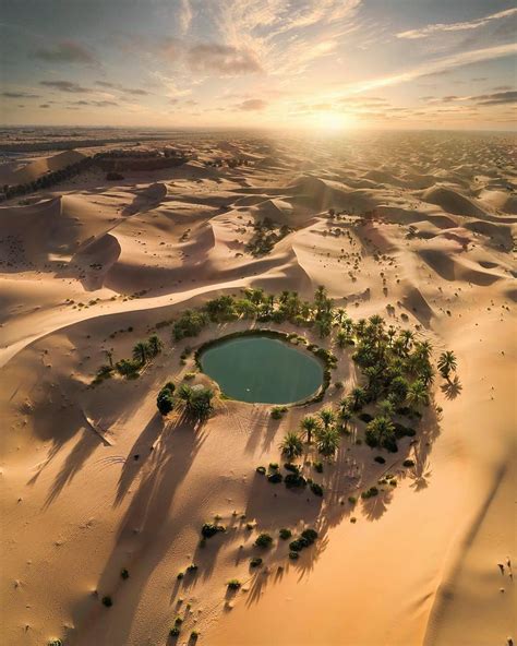 This is what a Desert Oasis looks like, I've always heard of them but never seen a picture. : r ...