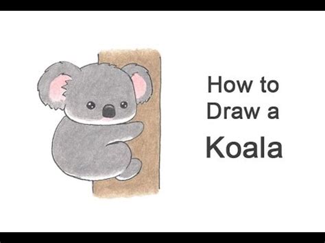 How To Draw Koala Bears - Escapecounter