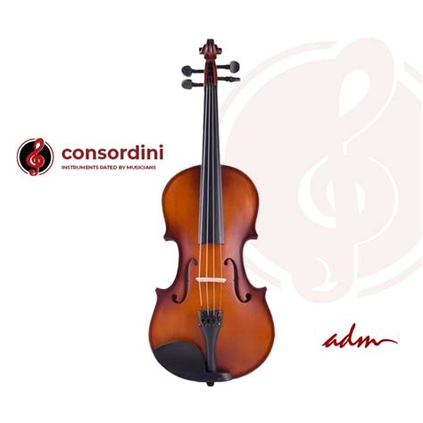 17 Best Violin Brands for Beginner & Intermediate Students 2024