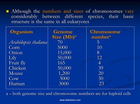 Variation in chromosome number