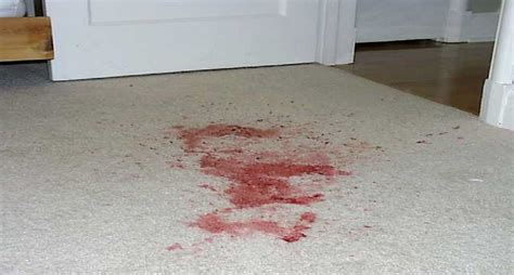 Blood Spills on Carpeted Floors