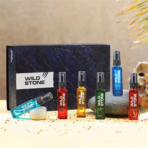 Wild Stone Fragrance Gift Set Perfume for Men, Pack of 6 (8ml each)