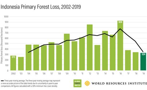 How to stop runaway deforestation? Look at Indonesia. – Radio Free