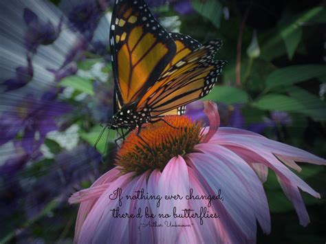 Butterfly Quotes For Death. QuotesGram