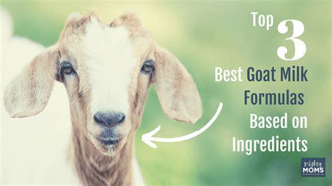 Top 3 Best Goat Milk Formulas Based on Ingredients • MightyMoms.club