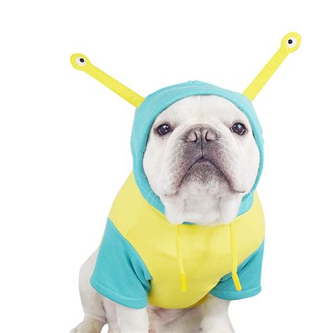 CT COUTUDI + Alien Dog Costume