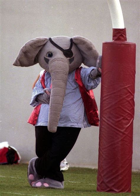 Big Al: The evolution of the Alabama mascot's look throughout the years - al.com