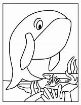 Free DOLPHIN Coloring Pages Your Kids Will Love Download Printable  sketch template