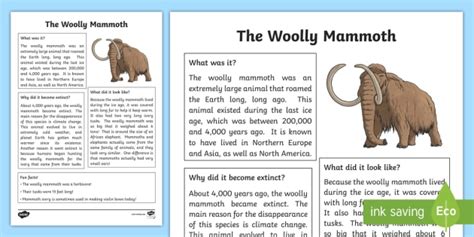 All About The Woolly Mammoth Fact File (teacher made)