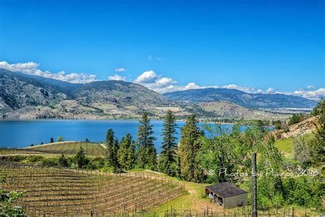 Vineyards at Pentâge Winery, Penticton, BC | The view to the… | Flickr