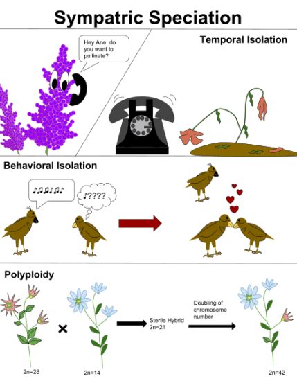 Prezygotic Isolating Mechanisms Include All of the Following Except ...