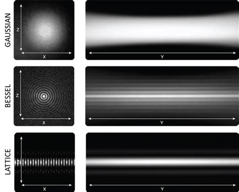 Lattice Light Sheet Microscopy - Application Note