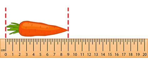 How Big Is A Centimeter Compared To An Inch : How much are 10 inches in centimeters? - Srkirmpgpzxcm