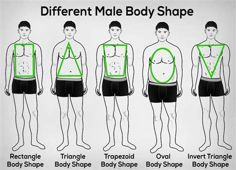 How to dress for your body type | Best body shape for men - nexoye