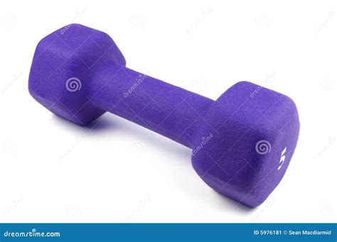 5 Pound Weight stock image. Image of weight, build, isolated - 5976181