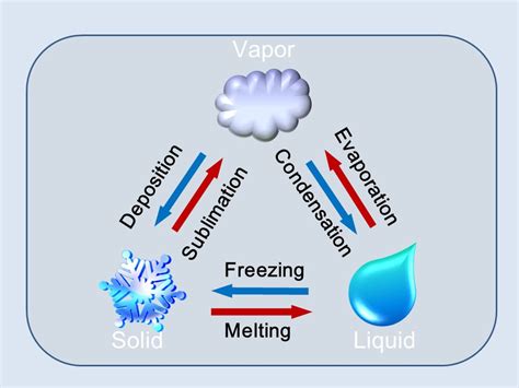 [Solved] A) Name two similarities between ice and water vapor. B) Name ...