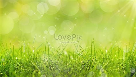 봄 초원 배경 사진 및 창의적인 일러스트 무료 다운로드 - Lovepik