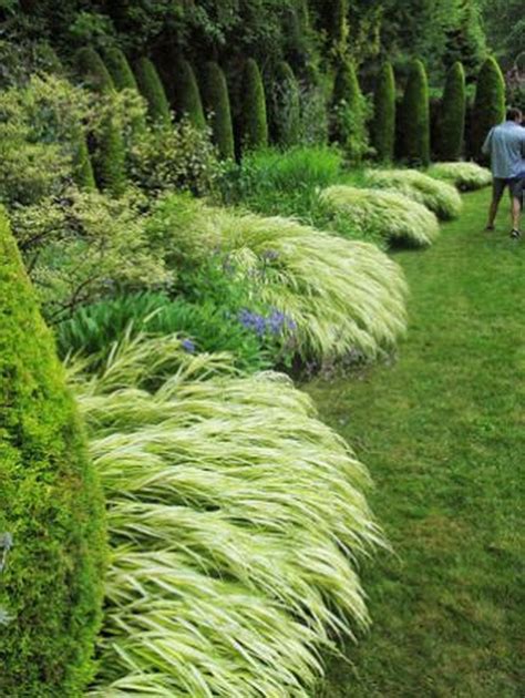 Cool 42 Amazing Evergreen Grasses Landscaping Ideas. More at https://homishome.com/2018/09/15/42 ...