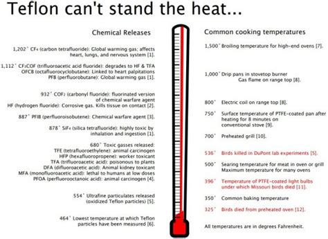 Teflon Poisoning and Bird Safe Cookware - Danger & Safety Guide