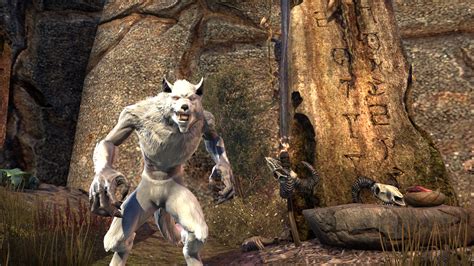 Category:Online: Werewolf Skills | Elder Scrolls | Fandom