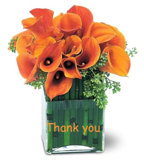 Thank You Flowers :: Thank You :: MyNiceProfile.com