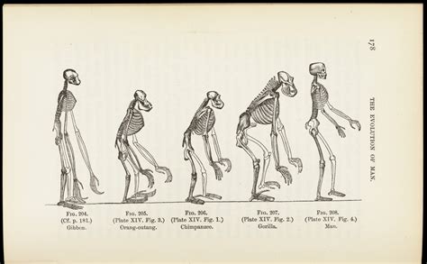 Human evolution is not over as it continues in these three areas, study finds - IBTimes India