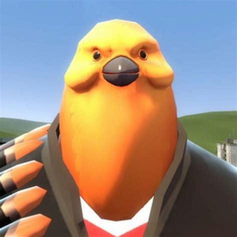 Pootis bird | Wiki | Team Fortress 2 Amino