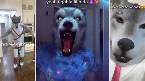 Alpha Werewolf Transformation (TikTok Filter) | Know Your Meme