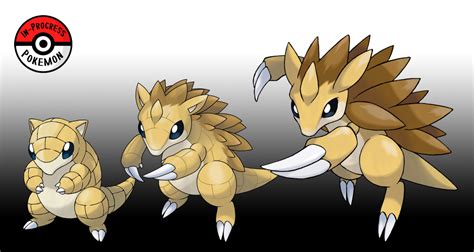 Pokemon Sandshrew Evolution