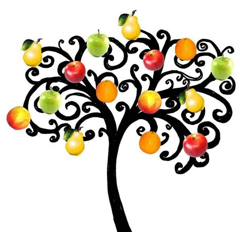 Fruit Tree Drawing - ClipArt Best