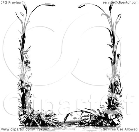 Clipart Of A Retro Vintage Black And White Border Of Reeds - Royalty ...