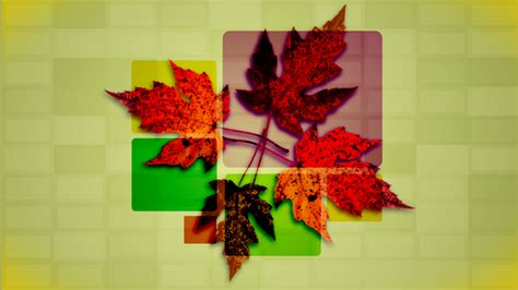 Fall Worship Backgrounds Graphics - Progressive Church Media