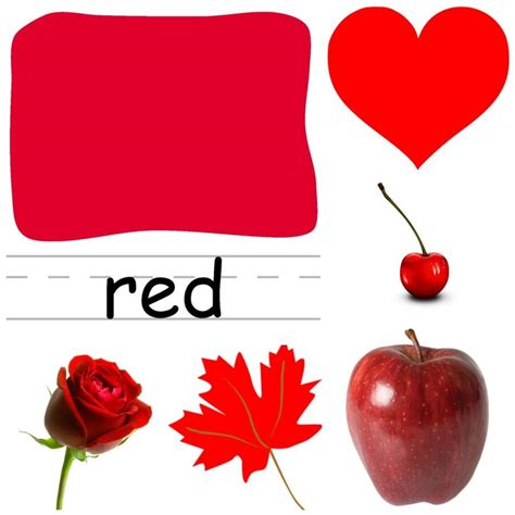 Color My World Series #1 ~ Red. Introducing the Color Red into Daily ...