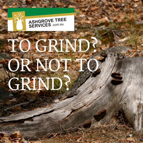 Stump Grinding | Ashgrove Tree Services – Tree Pruning and Tree Removal ...