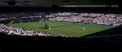 Wimbledon 2023 Finals Preview - Sport Betting Georgia