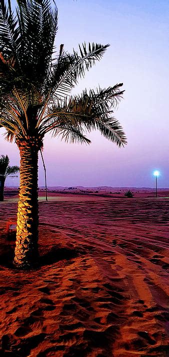 HD desert safari dubai wallpapers | Peakpx