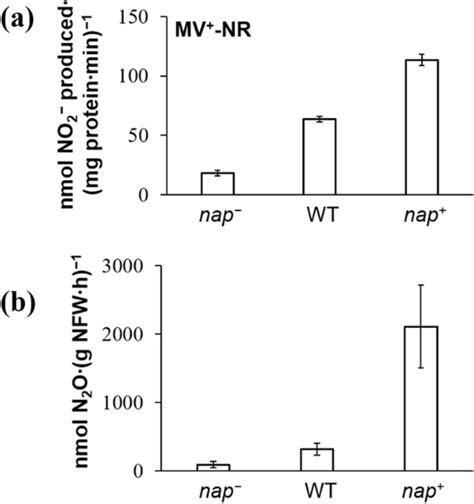 a Methyl viologen-dependent (MV⁺) nitrate reductase (MV⁺-NR) activity ...