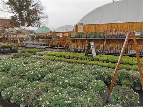 Plants Galore - Exeter | Garden Centre and Hardware Store