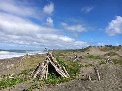 Sigatoka Sand Dunes National Park - 2021 All You Need to Know BEFORE You Go (with Photos ...