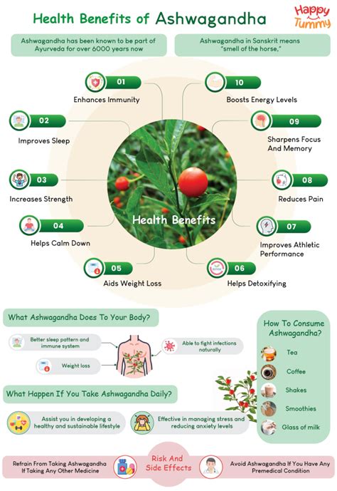 Top 10 Health Benefits Of Ashwagandha: Uses, And Side Effects - Happytummy