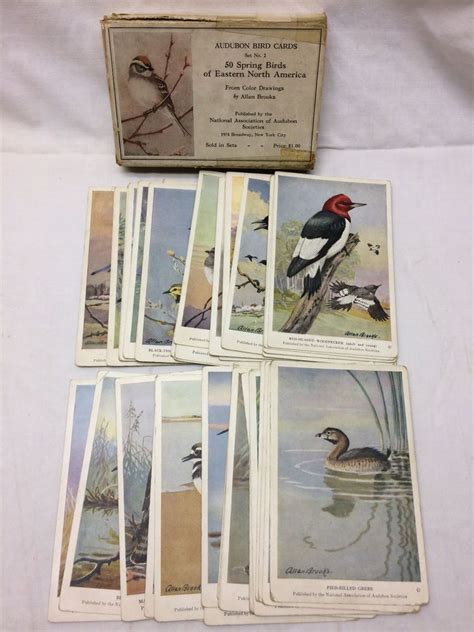 Audubon Christmas Cards - direktflug deutschland