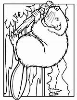 Beaver Coloring Pages sketch template