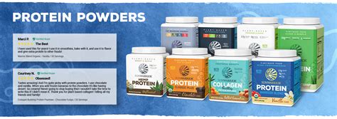 Plant-Based Protein Powders