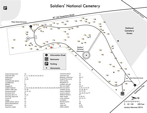 great rhododendron « Trees of Soldiers' National Cemetery