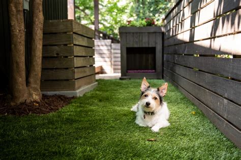 How to Build a Dog Run | HGTV Backyard Dog Area, Diy Backyard, Wedding ...