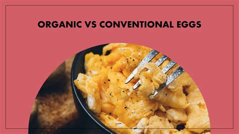 organic eggs vs conventional eggs