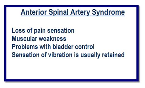 Anterior Spinal Artery Syndrome | Bone and Spine