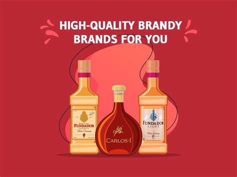 The Ultimate Guide to Distinguishing High-Quality Brandy Brands | Alcoline Blog