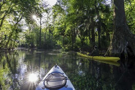 9 Awesome Things to Do in Ocala, Florida